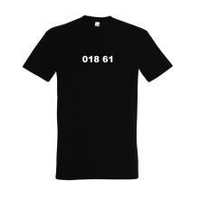 018 61 thumbnail