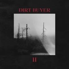 CD DIRT BUYER II