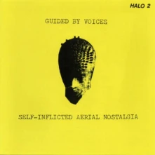 Vinyl SELF-INFLICTED AERIAL NOSTALGIA (YELLOW)