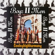 Vinyl Cooleyhighharmony