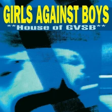 Vinyl HOUSE OF GVSB