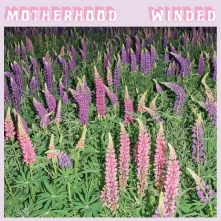 Motherhood, CD WINDED