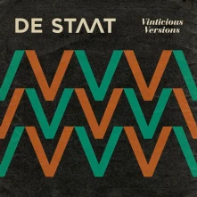 Vinyl VINTICIOUS VERSIONS