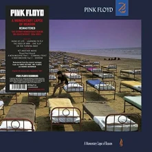 Vinyl A Momentary Lapse of Reason