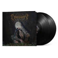 Vinyl In Somnolent Ruin (Black Vinyl)