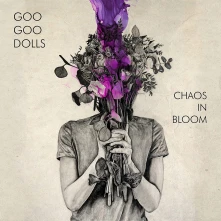 CD CHAOS IN BLOOM