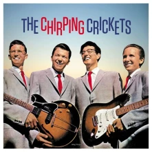 Vinyl THE CHIRPING CRICKETS