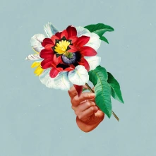 Vinyl MARIBOU STATE - KINGDOMS IN COLOUR