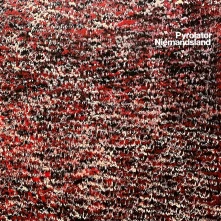 Vinyl NIEMANDSLAND