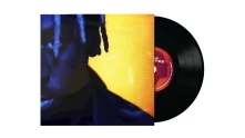 Vinyl My Mess, My Heart, My Life.