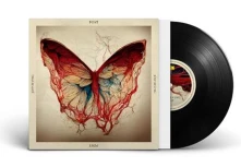 Vinyl POST