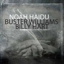 CD HAIDU, NOAH - TRIO EQUILATERAL