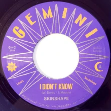 Skinshape, Vinyl Skinshape - I Didn't Know