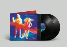 Vinyl CAMOUFLAGE - SPICE CRACKERS