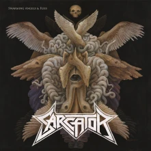 Sarcator, Vinyl Swarming Angels & Flies