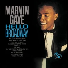 Vinyl HELLO BROADWAY