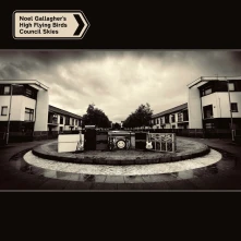 CD COUNCIL SKIES