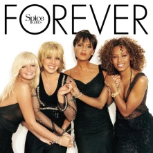Vinyl Forever (25th Anniversary Edition) (Transparent Red/Black Vinyl)
