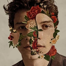 CD SHAWN MENDES