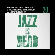 Vinyl REMIXES JID020