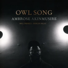 CD AKINMUSIRE, AMBROSE - OWL SONG (FEAT. BILL FRISELL & HERLIN RILEY)