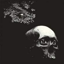 CD OSEES - A FOUL FORM