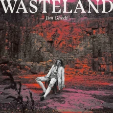 CD WASTELAND