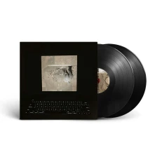 Vinyl BIBLE