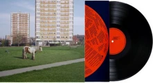 Vinyl IT GOES ON