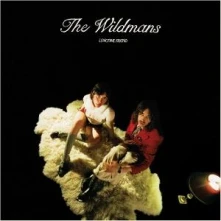 The Wildmans, Vinyl LONGTIME FRIEND
