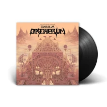 King Gizzard & The Lizard Wizard, Vinyl OMNIUM GATHERUM