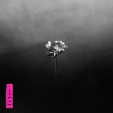 Little Simz, CD Lotus