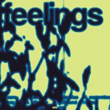 Vinyl FEELINGS