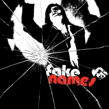 Vinyl FAKE NAMES