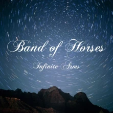 Vinyl Infinite Arms