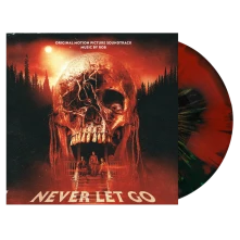 Vinyl NEVER LET GO