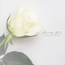 Vinyl A BEAUTIFUL WHITE