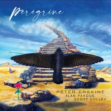 CD PEREGRINE