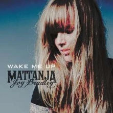 CD WAKE ME UP