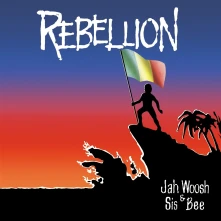 Vinyl REBELLION