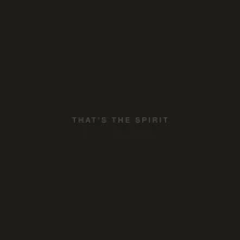 Vinyl That's the Spirit