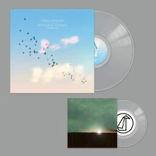 Vinyl Everything is Going To Be Ok
