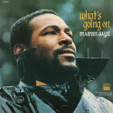 Vinyl What's Going On (Remastered)