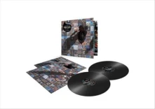 Vinyl A Foot In the Door: the Best of Pink Floyd