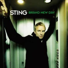 Vinyl Brand New Day