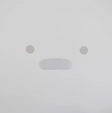 Vinyl PERSONAL COMPUTER