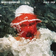 Pale Jay, Vinyl BEWILDERMENT
