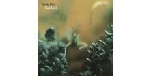 CD KATY LIED