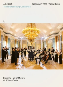 DVD BACH: BRANDENBURG CONC...