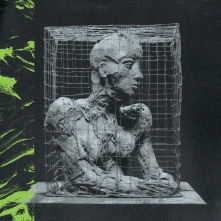 CD Forest Swords - Bolted